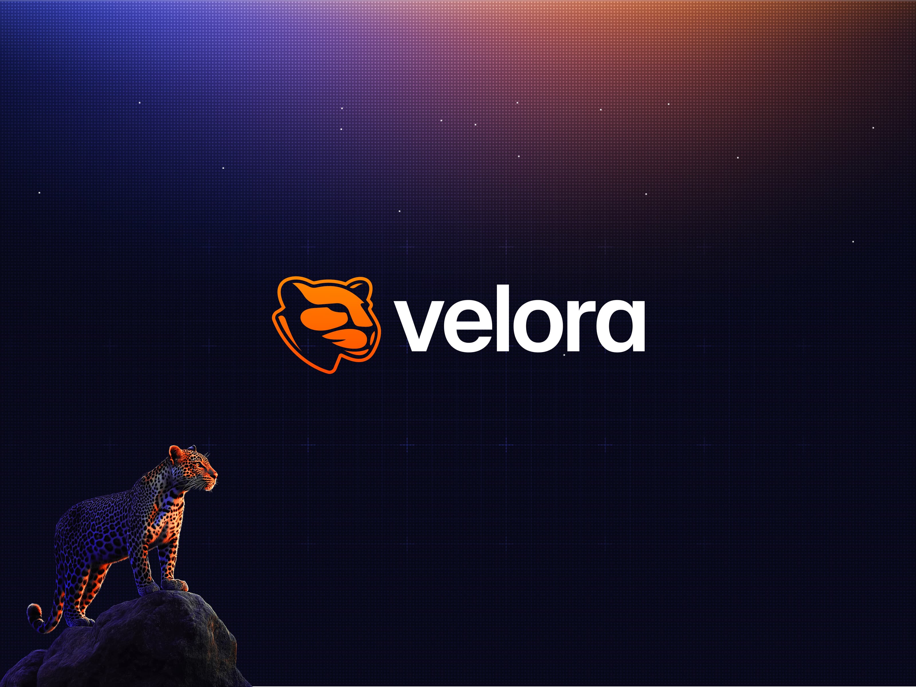 Velora: ParaSwap Rebranding Strategy